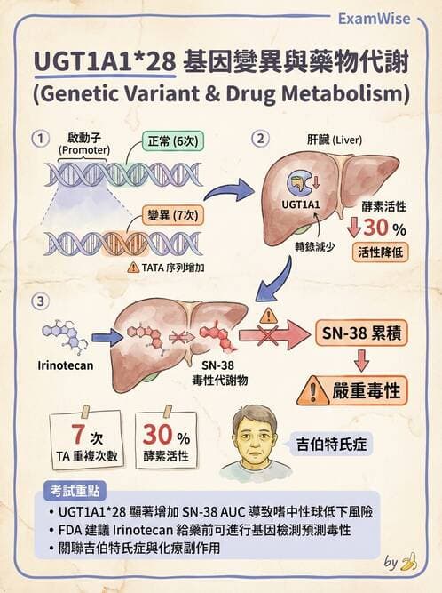 醫檢師 - 藥物相關基因檢測 - AI 圖文解析預覽