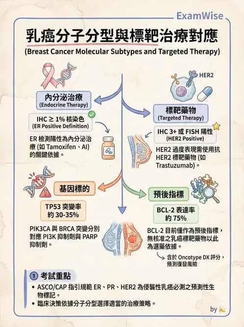 醫檢師 - 腫瘤疾病基因檢測 - AI 圖文解析預覽