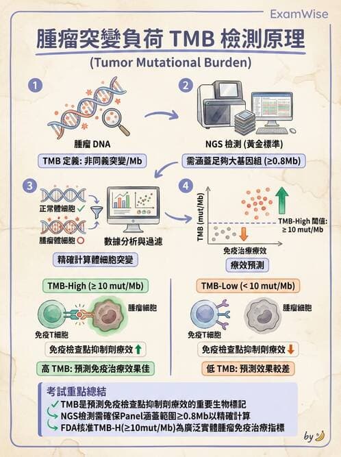 醫檢師 - 腫瘤疾病基因檢測 - AI 圖文解析預覽