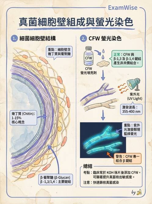 醫檢師 - 檢驗基礎技術 - AI 圖文解析預覽