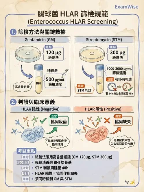 醫檢師 - 抗藥性機制 - AI 圖文解析預覽
