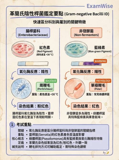 醫檢師 - 非發酵菌 - AI 圖文解析預覽