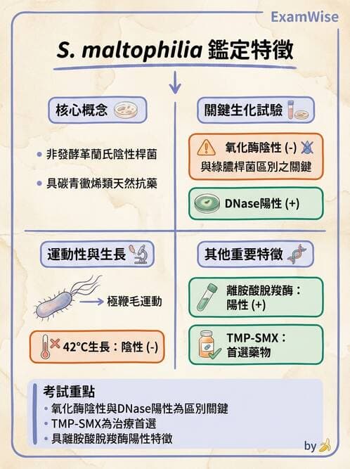 醫檢師 - 非發酵菌 - AI 圖文解析預覽