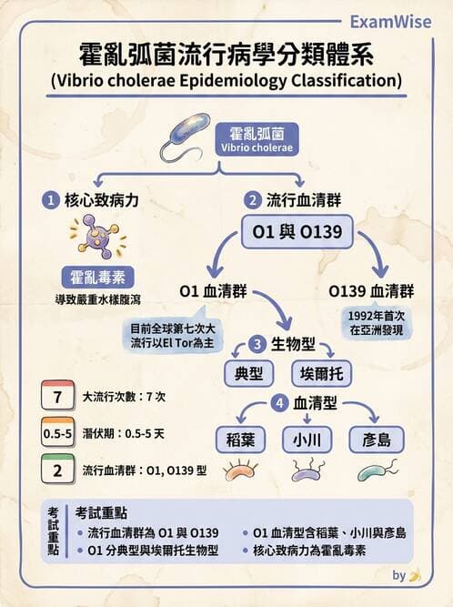 醫檢師 - 弧菌、氣單胞菌與彎曲菌 - AI 圖文解析預覽