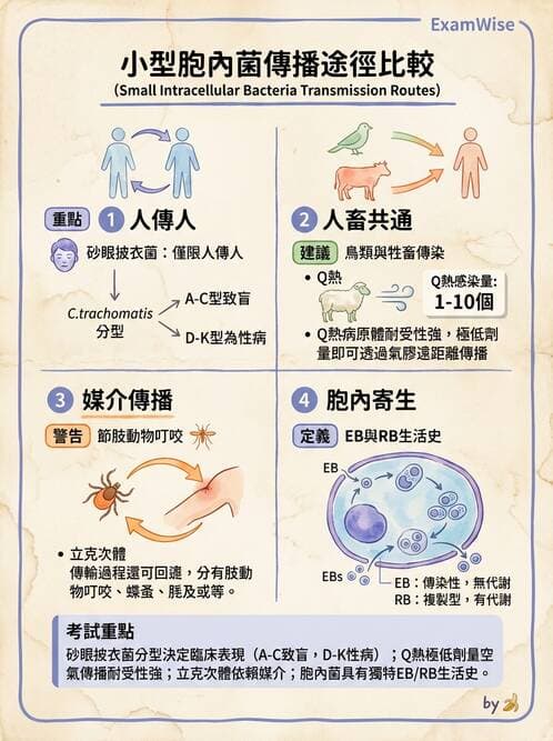 醫檢師 - 特殊病原體 - AI 圖文解析預覽