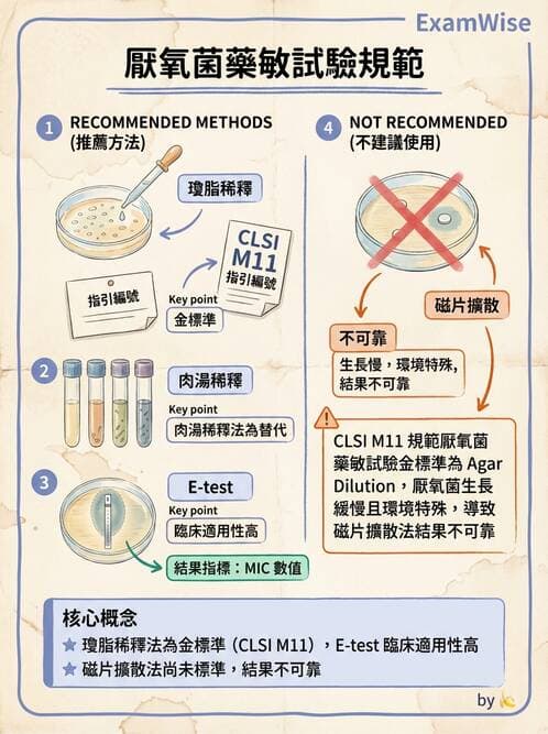 醫檢師 - 厭氧菌 - AI 圖文解析預覽