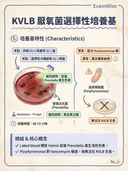醫檢師 - 厭氧菌 - AI 圖文解析預覽
