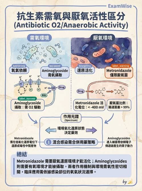 醫檢師 - 抗微生物製劑 - AI 圖文解析預覽