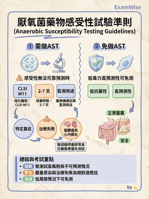 醫檢師 - 藥敏試驗方法 - AI 圖文解析預覽