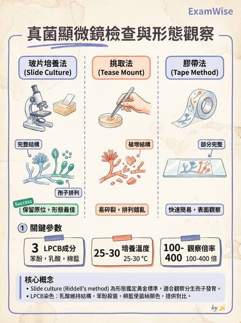 醫檢師 - 真菌診斷與治療 - AI 圖文解析預覽