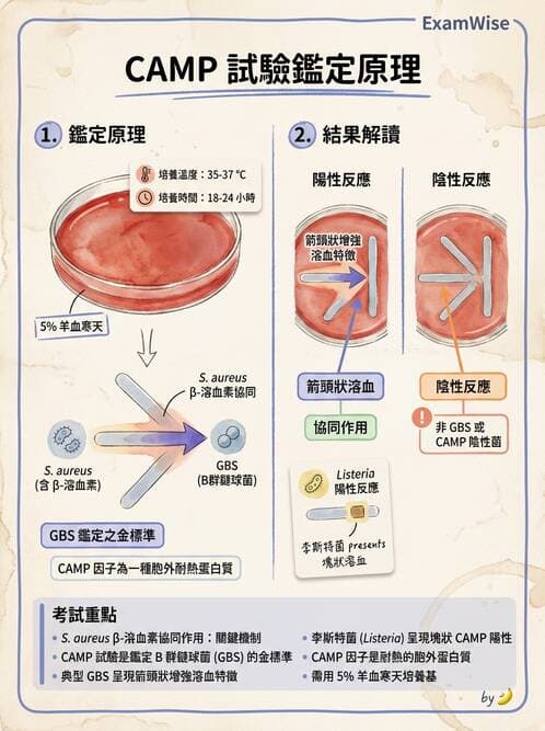 醫檢師 - 綜合性試題 - AI 圖文解析預覽