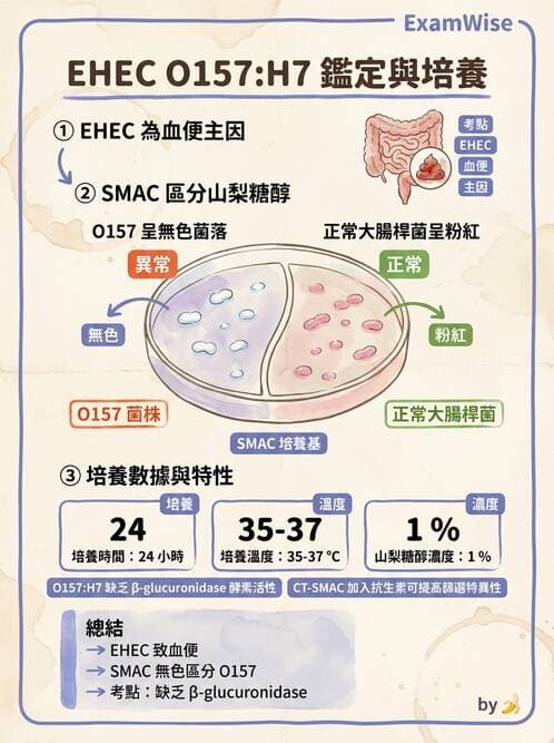醫檢師 - 弧菌、氣單胞菌與彎曲菌 - AI 圖文解析預覽