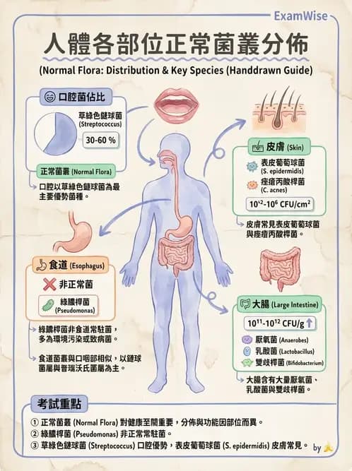 專師 - 院內感染與感控 - AI 圖文解析預覽