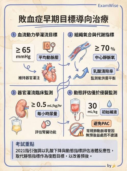 專師 - 敗血症治療與復甦指引 - AI 圖文解析預覽