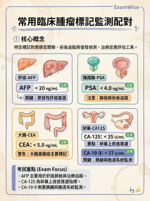 專師 - 腫瘤診斷與分期 - AI 圖文解析預覽