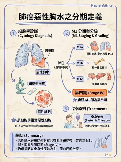 專師 - 胸腔外科 - AI 圖文解析預覽