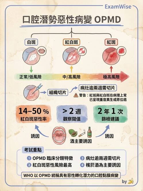 專師 - 頭頸腫瘤與甲狀腺 - AI 圖文解析預覽