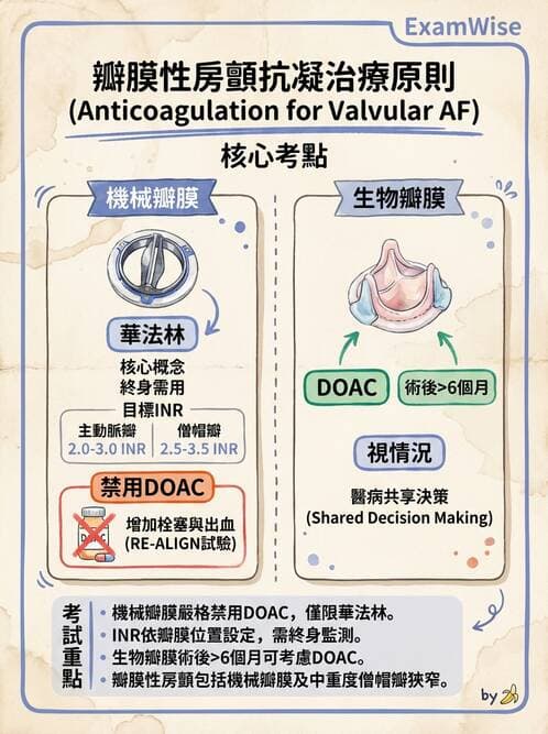 專師 - 心律不整與ECG判讀 - AI 圖文解析預覽