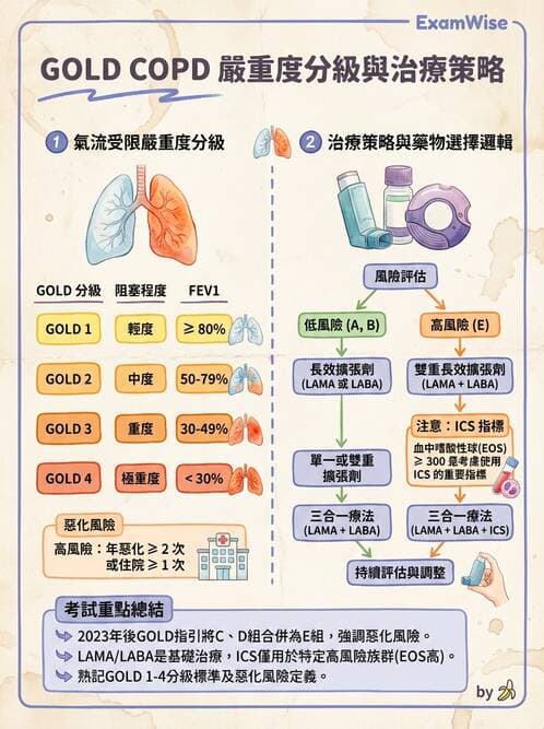專師 - 阻塞性肺病 - AI 圖文解析預覽
