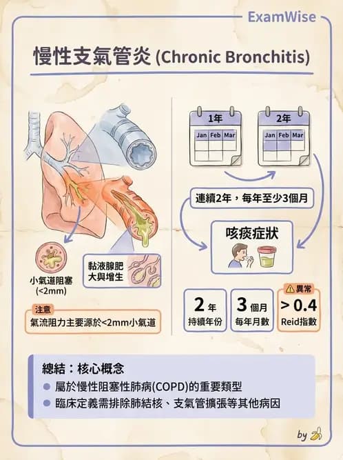 專師 - 阻塞性肺病 - AI 圖文解析預覽