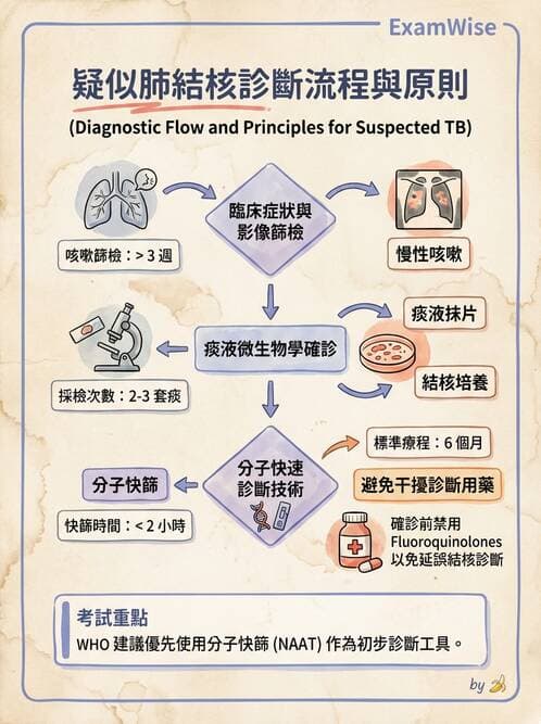 專師 - 肺炎與肺部感染 - AI 圖文解析預覽