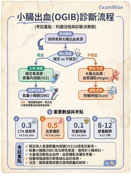 專師 - 腸道疾病與肛門直腸 - AI 圖文解析預覽