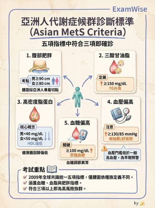 專師 - 代謝症候群與血脂 - AI 圖文解析預覽