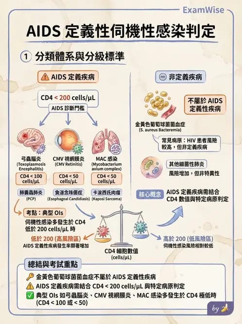 專師 - 性傳播感染 - AI 圖文解析預覽