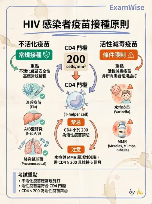 專師 - 性傳播感染 - AI 圖文解析預覽