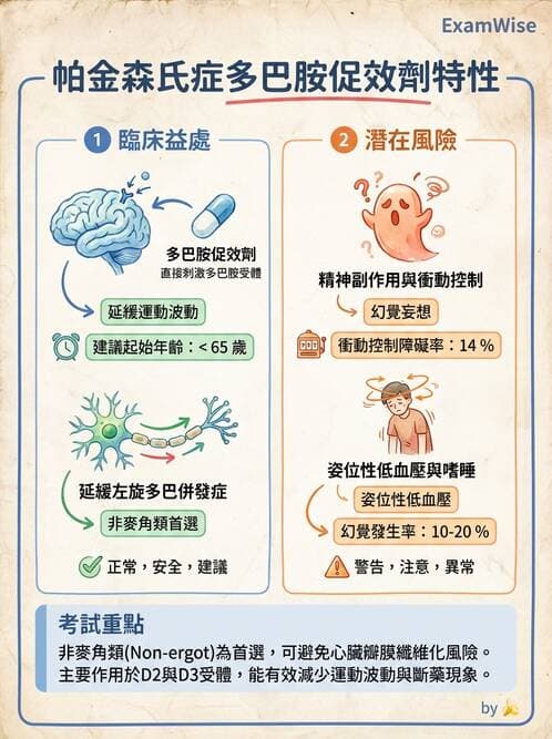 專師 - 神經退化與免疫疾病 - AI 圖文解析預覽