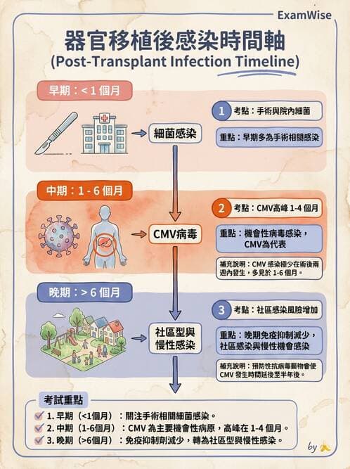 專師 - 慢性腎臟病與併發症 - AI 圖文解析預覽