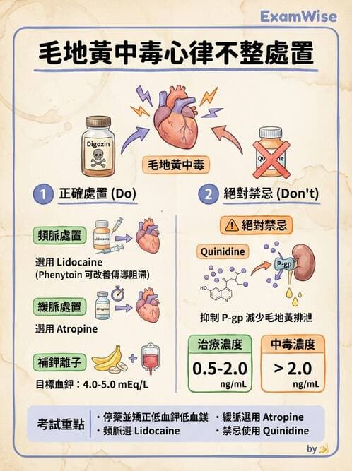 專師 - 心律不整與ECG判讀 - AI 圖文解析預覽