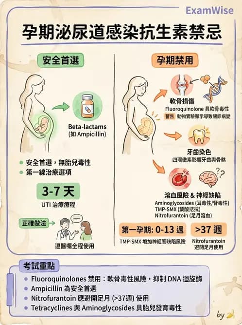 專師 - 泌尿道感染 - AI 圖文解析預覽