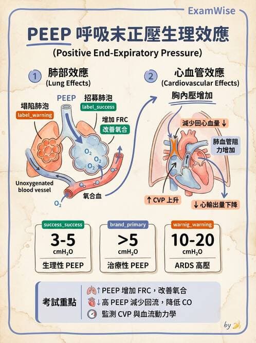 專師 - 呼吸治療與ABG - AI 圖文解析預覽