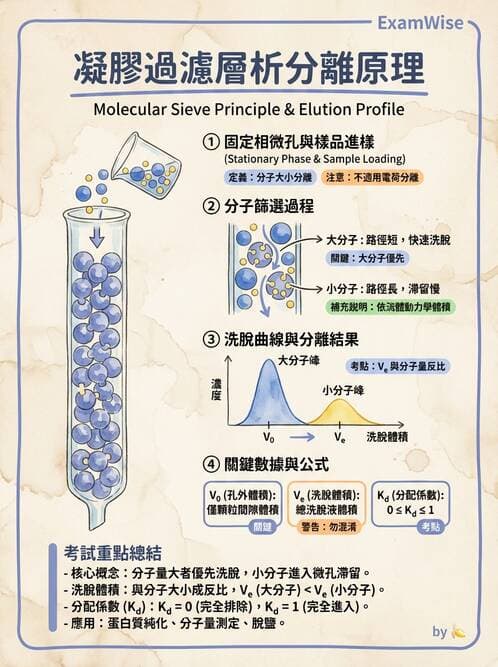 醫檢師 - 基本概念與儀器分析 - AI 圖文解析預覽