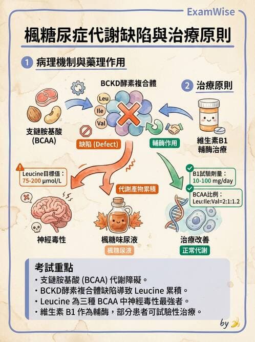 醫檢師 - 胺基酸代謝與先天性疾病 - AI 圖文解析預覽