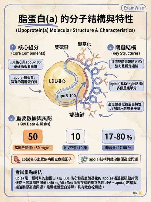 醫檢師 - 脂蛋白分類與臨床應用 - AI 圖文解析預覽