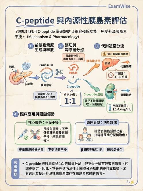 醫檢師 - 醣類代謝與糖尿病 - AI 圖文解析預覽