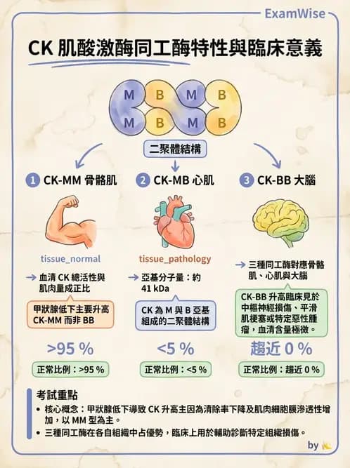醫檢師 - 心肌標誌與心臟診斷 - AI 圖文解析預覽
