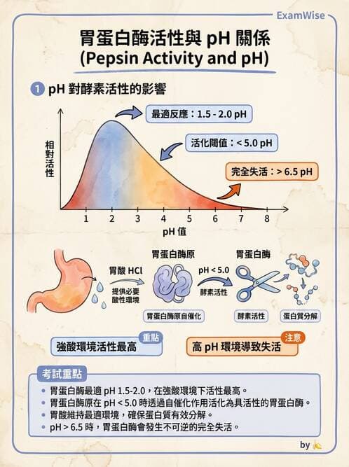 醫檢師 - 臨床酵素學基礎 - AI 圖文解析預覽