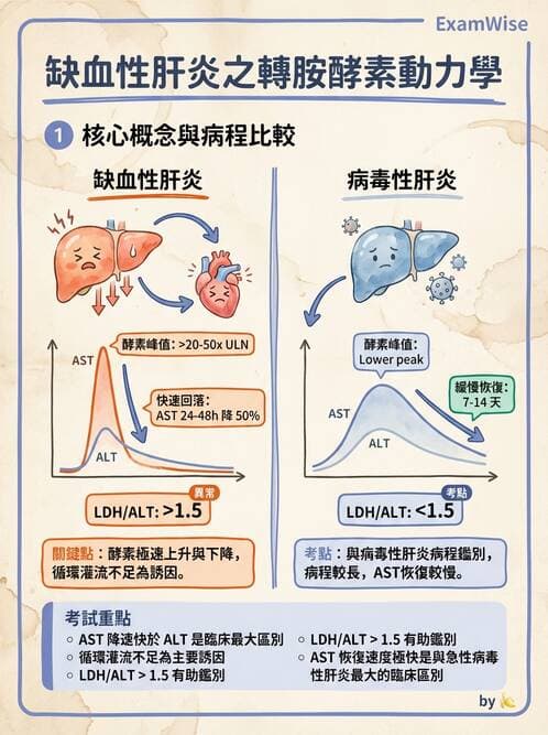 醫檢師 - 肝臟機能與胰臟酵素 - AI 圖文解析預覽