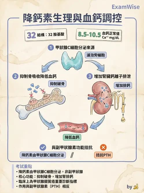 醫檢師 - 腫瘤標誌 - AI 圖文解析預覽