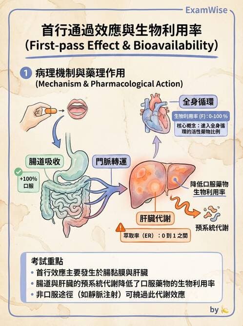 醫檢師 - 治療藥物監測與毒物學 - AI 圖文解析預覽