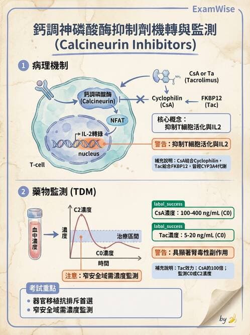 醫檢師 - 治療藥物監測與毒物學 - AI 圖文解析預覽