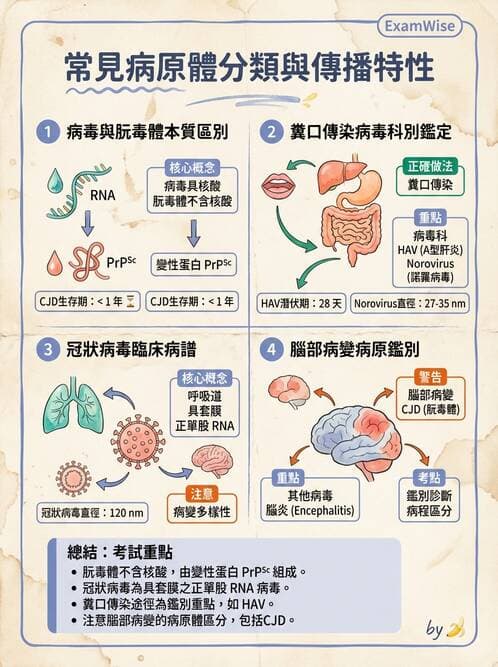 醫檢師 - 朊蛋白與其他DNA相關病原 - AI 圖文解析預覽