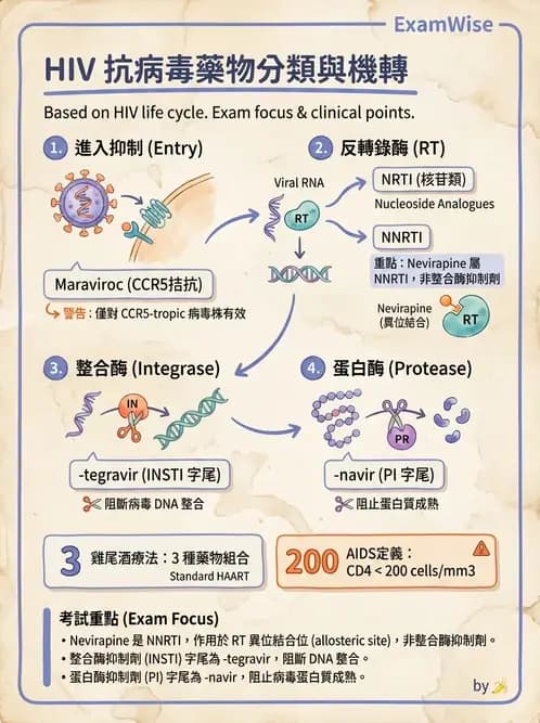 醫檢師 - 反轉錄病毒(HIV/HTLV) - AI 圖文解析預覽