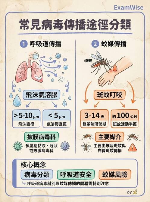 醫檢師 - 黃病毒科與蟲媒病毒 - AI 圖文解析預覽