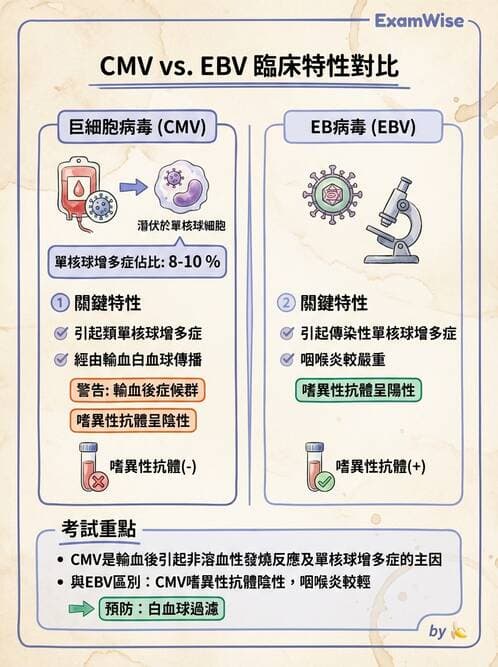 醫檢師 - 疱疹病毒科 - AI 圖文解析預覽