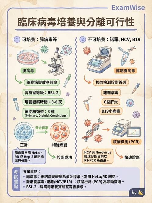 醫檢師 - 病毒檢驗技術 - AI 圖文解析預覽