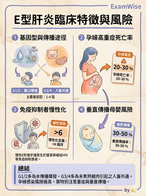 醫檢師 - 其他RNA病毒 - AI 圖文解析預覽